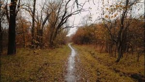 После дождя в сентябре