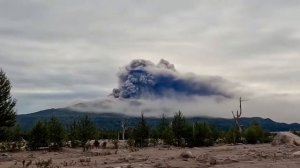 На Камчатке вулкан Шивелуч выбросил пепел на 5 км