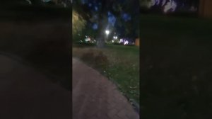 Всем привет 👋