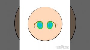 джокер под свой голос