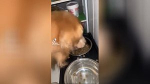 Best video of Tik Tok! 13.09.25 / 06