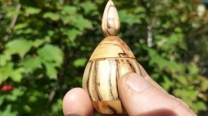 Шкатулка в берёзовой роще с калиной, шиповником и цветами. Сентябрь 2025