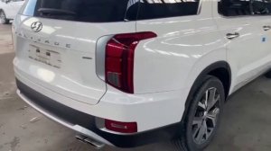 Palisade 8846 21 4WD белый 2