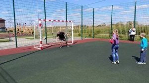 видеовизитка