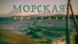 Морская прогулка в бухту Русская. Камчатка. Туристическая компания BearTro