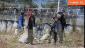 Около 300 волонтеров и один кот приняли участие в уборке Набережной