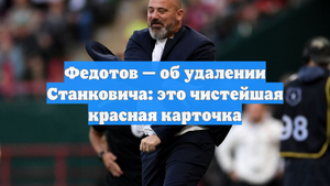 Федотов — об удалении Станковича: это чистейшая красная карточка