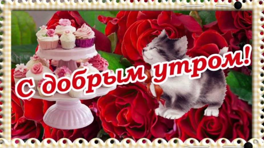 Доброго Осеннего Утра !  Хорошего дня! ??Тёплого во всех отношениях!