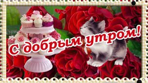 Доброго Осеннего Утра !  Хорошего дня! ??Тёплого во всех отношениях!