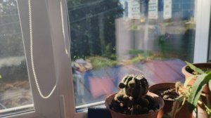 в деревне выглянуло солнышко, субботний день в деревне