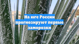 На юге России прогнозируют первые заморозки