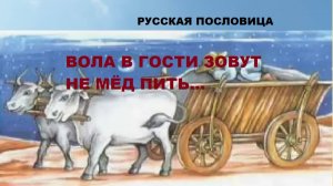 Русская пословица. ВОЛА В ГОСТИ ЗОВУТ НЕ МЁД ПИТЬ...