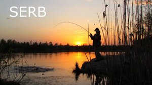 РУССКАЯ РЫБАЛКА 4 Раннее утро на Вьюнке