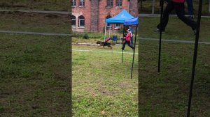 ЩЕНКИ СУКИ / КЧК КАЛИНИНГРАД 7 сентября`25 А.Буйнова Моно немецких овчарок