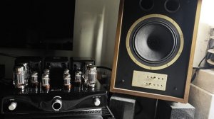 Ламповый hi-end усилитель Bewitch 1812 + tannoy eaton legacy (3)