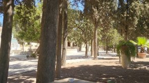 Я озвучила ваши письма в Часовню обретения Главы Иоанна Крестителя. Они прозвучали на святом Елеоне