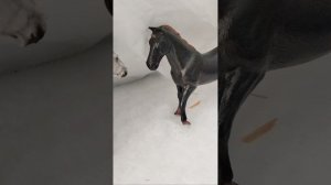 Пранк для Гоши