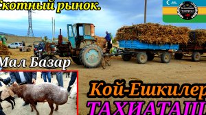 13-09-2025 СКОТНЫЙ РЫНОК -МАЛ БАЗАР 🐐