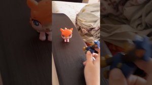 МОРСКОЙ КОТИК 3