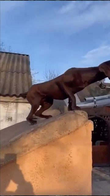 Увидел знакомую смотреть онлайн