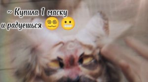 Хех)))Спасибо за 4 подписчика ❤️❤️❤️