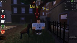 играю в роблокс (очень много котиков)