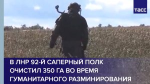 В ЛНР 92-й саперный полк очистил 350 га во время гуманитарного разминирования