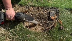 Наконец все пеньки выпилили на участке.