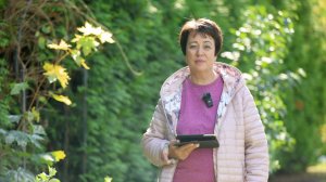 3643. Хлеб на каждый день. 17 сентября. Псалом 88:38