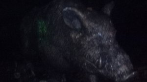 Железноводск, Путешествие, поездка на такси. вид города. 09-2025