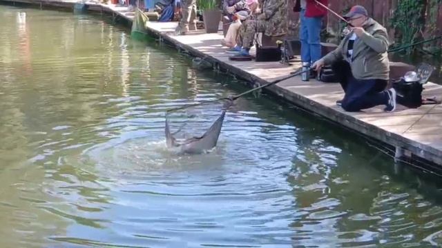 -7294212909247943362