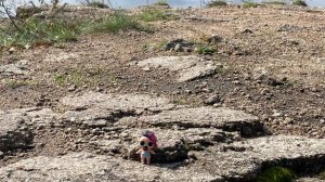 ЛЕСНОЙ ЭКСТРИМ! Куклы ЛОЛ СЮРПРИЗ! Веселые истории! L.O.L. Surprise!