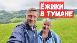 87/ А вот и первые грибы. Сильный туман и проливной дождь не помеха.