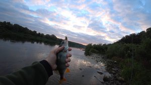 А где крупная рыба??? 4-я рыбалка к ряду с неудовлетворительным результатом.