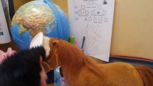 уход за фаней