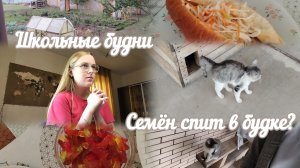 VLOG Школьные будни🎒 Семён спит в будке?🐈