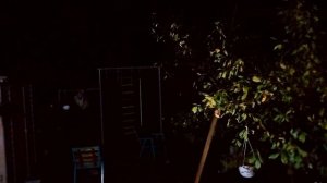 Шторм после квазилинейной КС