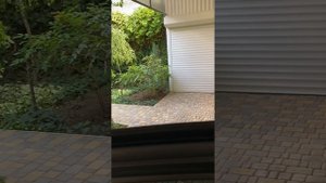 Состояние салона