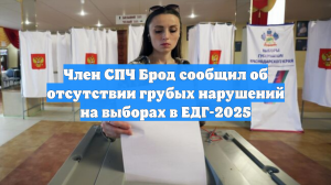Член СПЧ Брод сообщил об отсутствии грубых нарушений на выборах в ЕДГ-2025