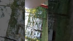 гуляем с Женей и рассказываем О чём что увидели что нашли