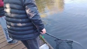 Форель