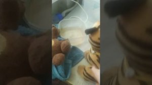 БАБКА ГРЕННИ ПРЕВРАТИЛСЯ В ТИГР! ТИГР ПРИШЕЛ НА ПОМОЩЬ!