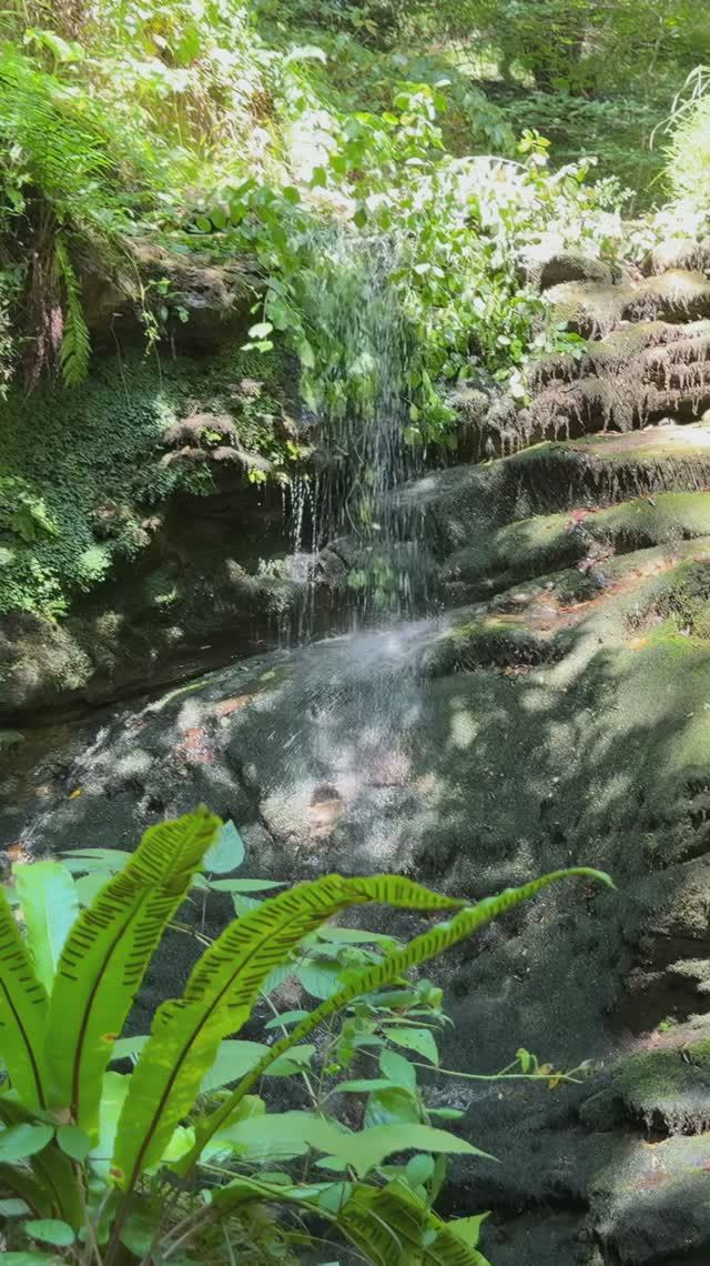 Новый Гупский водопад (Абхазия, Очамчирский район) смотреть онлайн