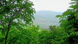 Кругом тебя окружает Райский пейзаж