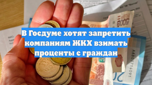 В Госдуме хотят запретить компаниям ЖКХ взимать проценты с граждан