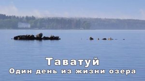 Таватуй. Один день на озере | Ураловед