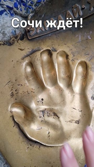 Сочи глазами туриста