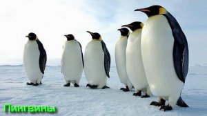 Ответы на Вопросы по Эзотерике от 13.09.25 Часть 3