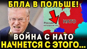 БПЛА В ПОЛЬШЕ - ВСЁ СХОДИТСЯ!  ЖИРИНОВСКИЙ ПРЕДСКАЗАЛ КОГДА И КАК НАЧНЁТСЯ ВОЙНА РОССИИ И НАТО