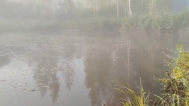 Цикл видео радиационного тумана Предпоказ смотреть онлайн